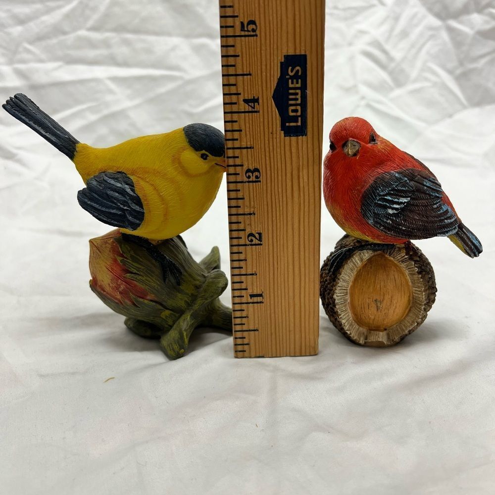 Bird collection - Picture 15 of 16